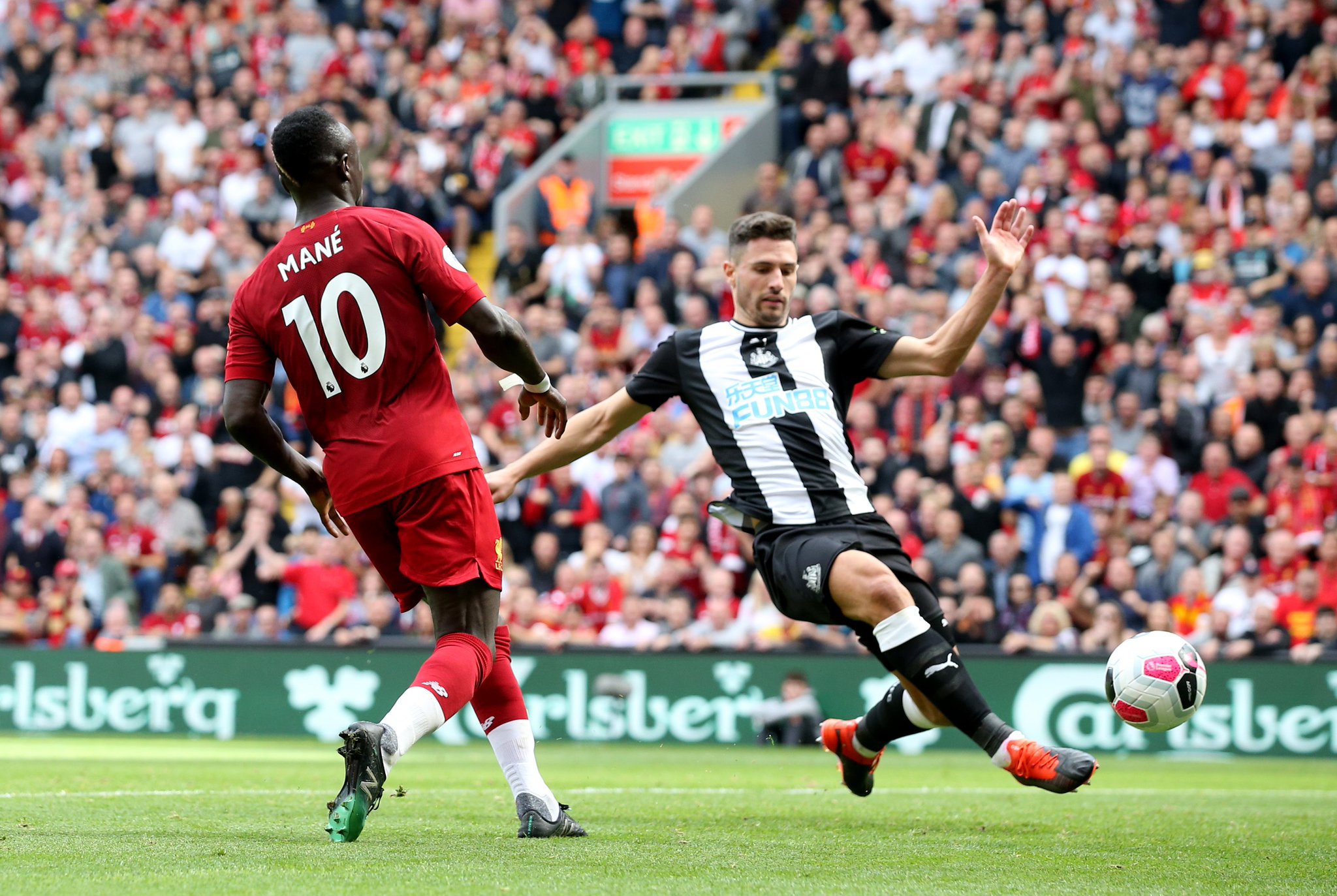 她都将在女 她都将在女